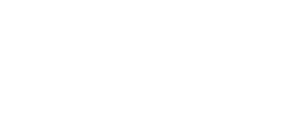 ReviewTechs